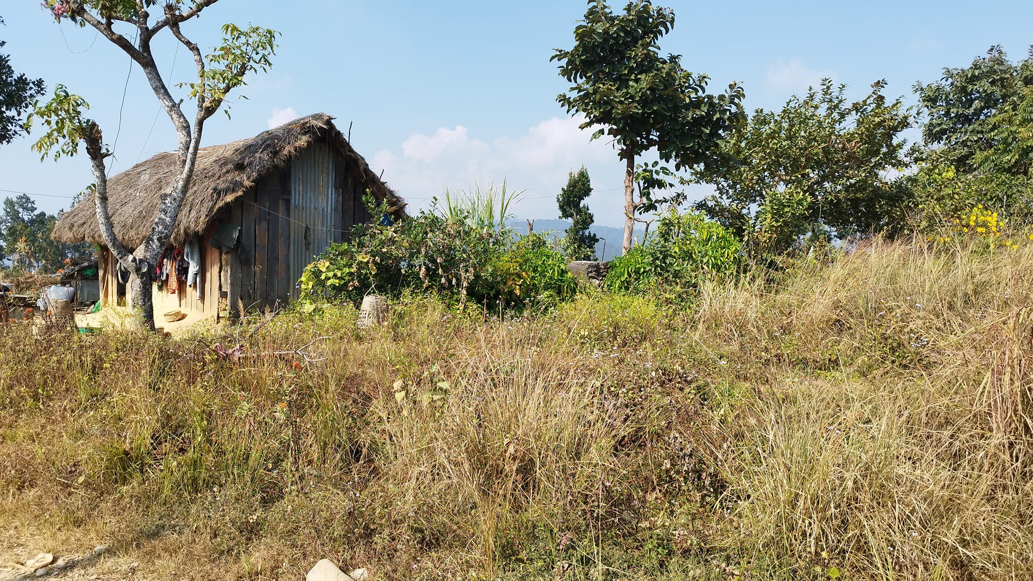 Politics and Society